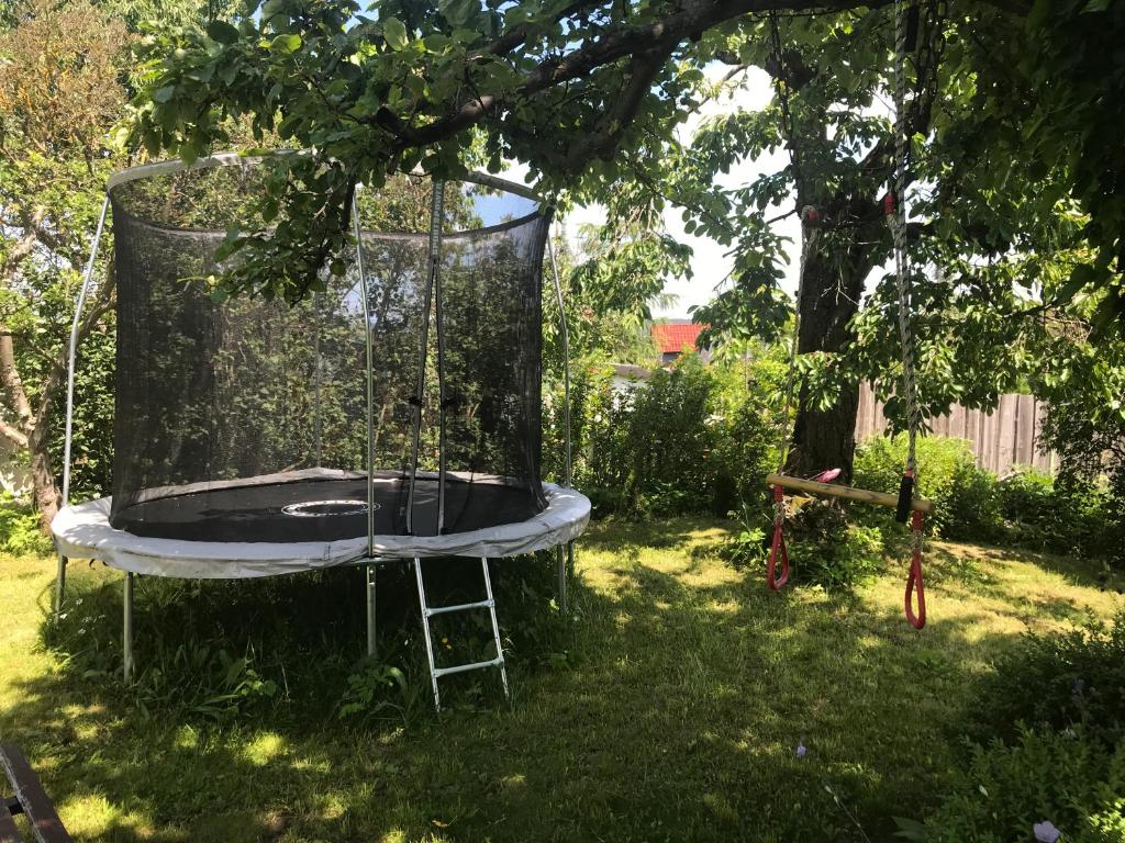 Ferienwohnung in Ilmenau mieten